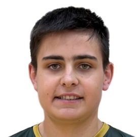 Mario Fernández, Mario